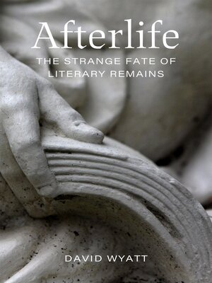 cover image of Afterlife